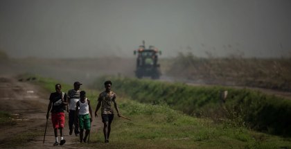 Young men walk near a burning cane field, looking for rabbits to chase down. For some families in the Glades, selling rabbit meat is their only source of income.