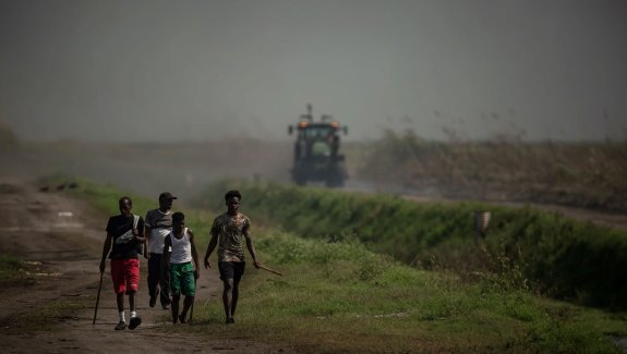 Young men walk near a burning cane field, looking for rabbits to chase down. For some families in the Glades, selling rabbit meat is their only source of income.