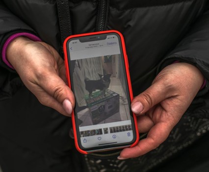 Hands holding a red phone that shows a picture of a small dog standing on a box