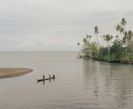 They’re also home to some of the planet’s largest reserves of nickel —