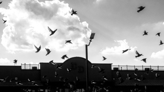 Birds fly across the view of the strip club next door to the Inn in Oklahoma City, Okla.