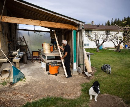 The dogs, Bella and Oscar, act as alarms for bears in the area.