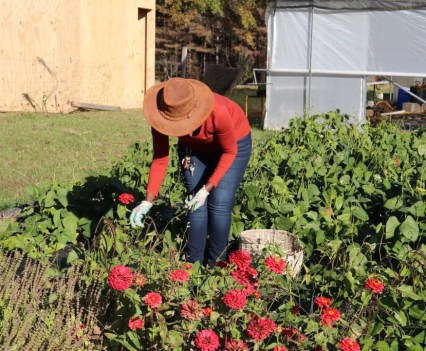 Locals help to save community farm