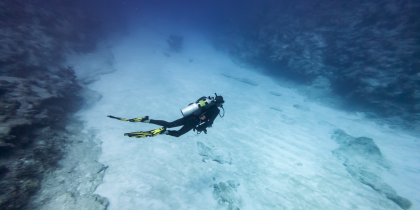 Guardians of the Deep