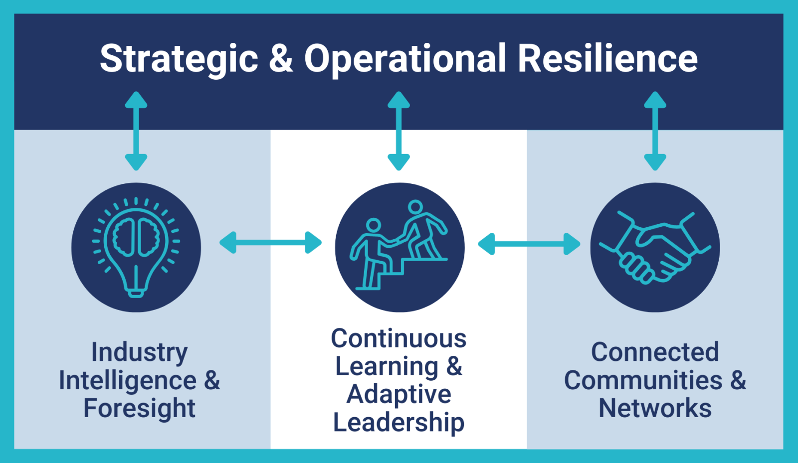 Graphic with ONA's four strategic pillars shows connected blocks with Strategic & Operational Resilience at the top, supported by the pillars of Industry Intelligence & Foresigh, Continuous Learning & Adaptive Leadership, and Connected Communities & Networks
